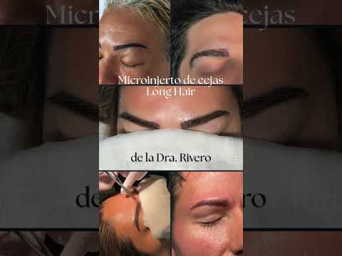 Cejas Long Hair · resultados