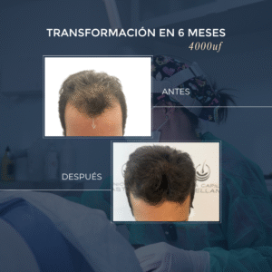 desc (6)
