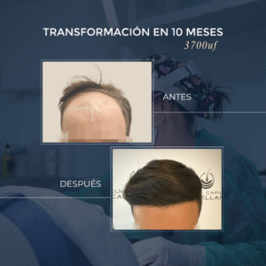 desc (7)